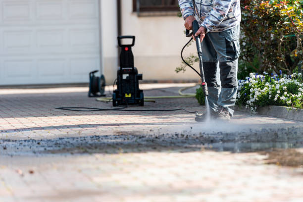 Best Pressure Washing Near Me  in Wells, MN