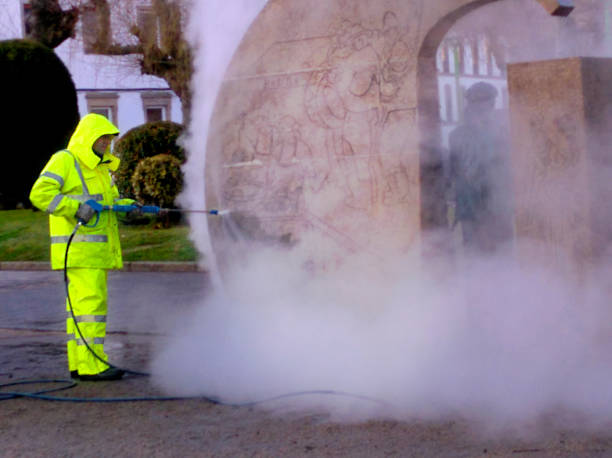 Best Affordable Pressure Washing  in Wells, MN